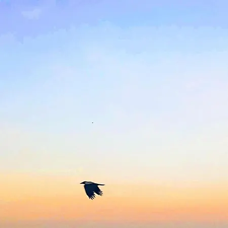 Rhodes Skyline With Out Door Jacuzzi Sea View A1 Ixia (Rhodes)